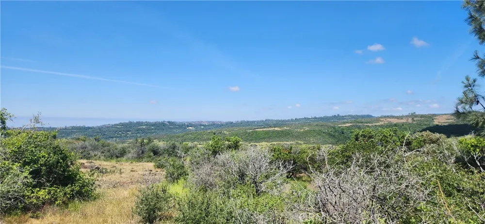 Hummer Road Forest Ranch, CA 95942