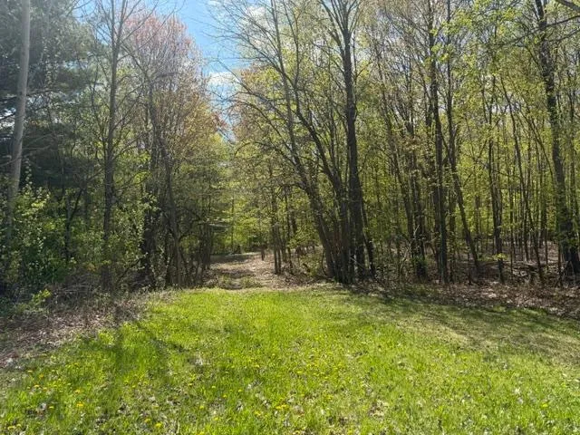 TBD 1st Street Taylors Falls, MN 55084
