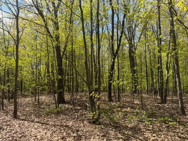 TBD 1st Street Taylors Falls, MN 55084