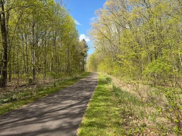 TBD 1st Street Taylors Falls, MN 55084