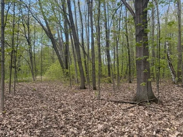 TBD 1st Street Taylors Falls, MN 55084