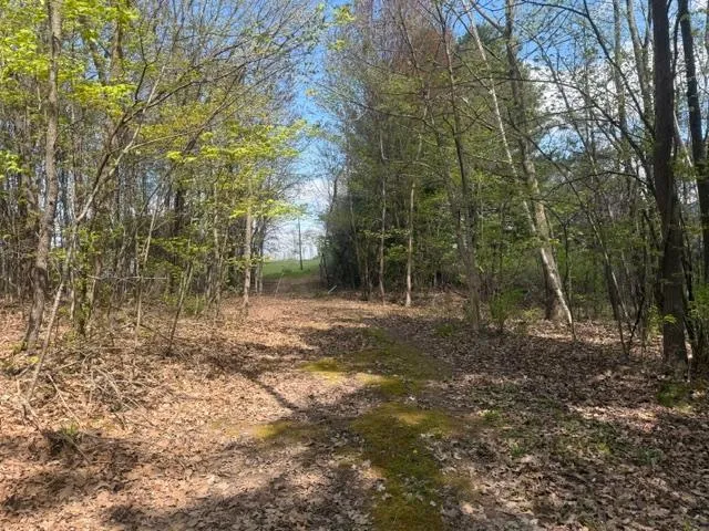 TBD 1st Street Taylors Falls, MN 55084