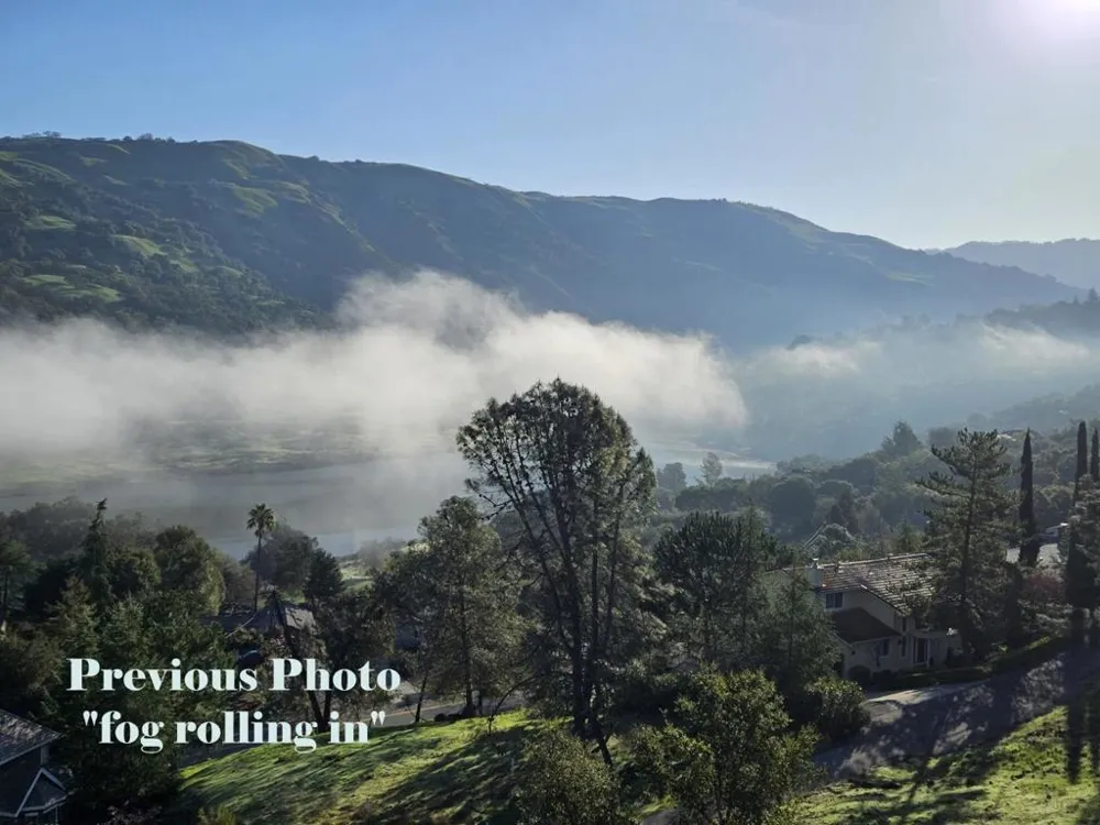 17241 Quail Court Morgan Hill, CA 95037