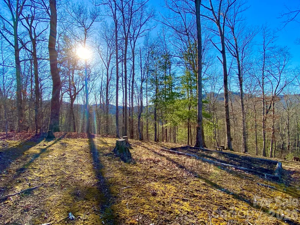 288 Rebel Drive Hot Springs, NC 28743