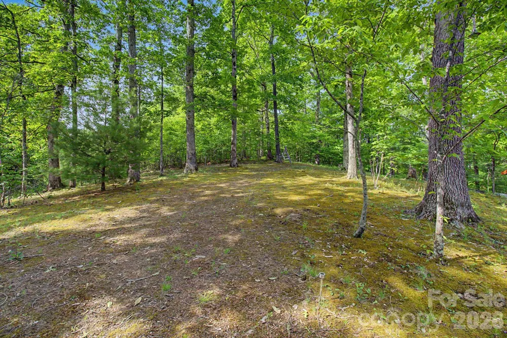 288 Rebel Drive Hot Springs, NC 28743