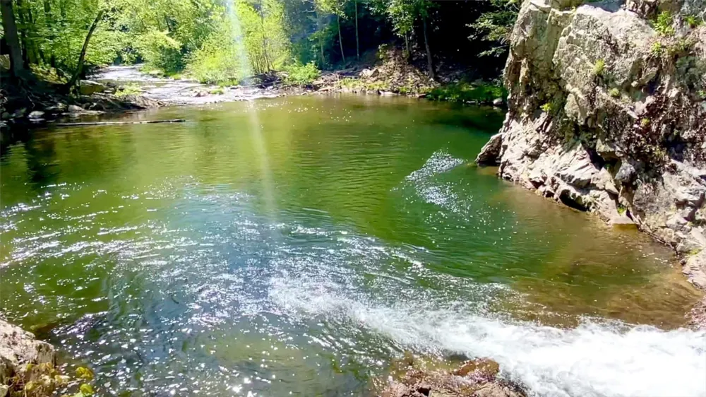 288 Rebel Drive Hot Springs, NC 28743