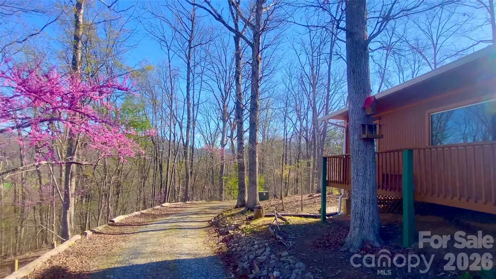 288 Rebel Drive Hot Springs, NC 28743