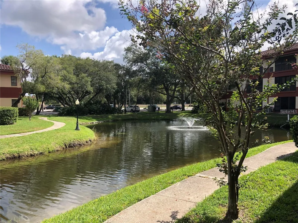2650 COUNTRYSIDE BOULEVARD #E103 Clearwater, FL 33761