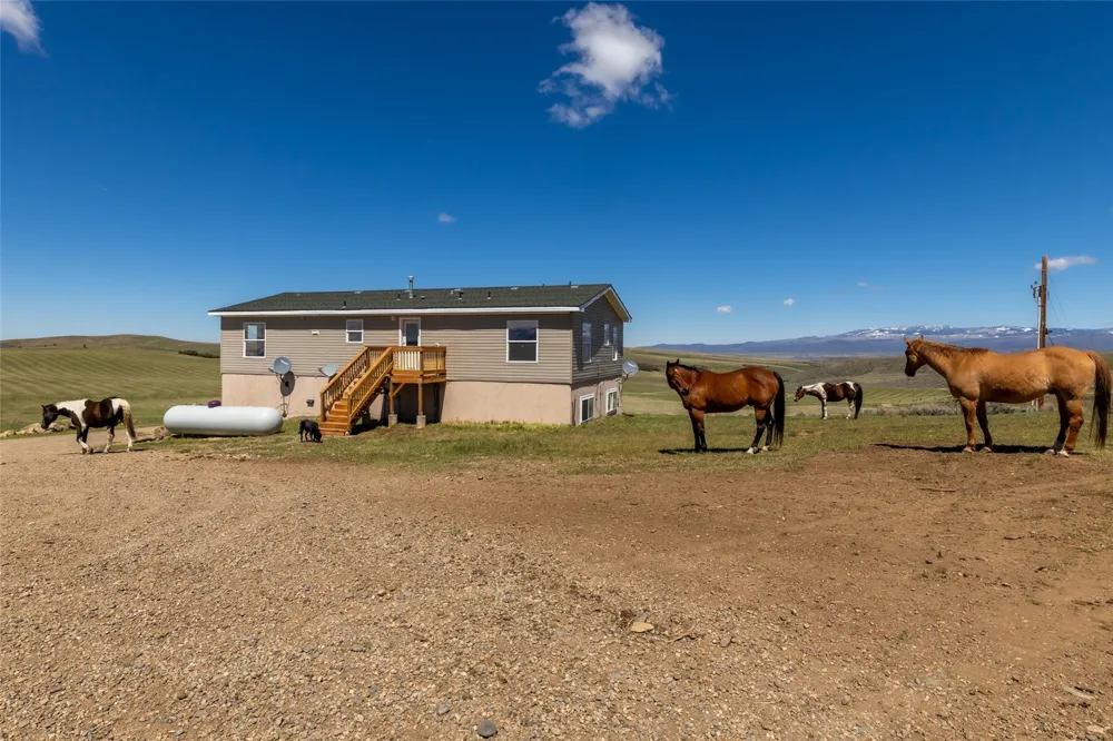 6055 Homesteader Lane Hayden, CO 81639