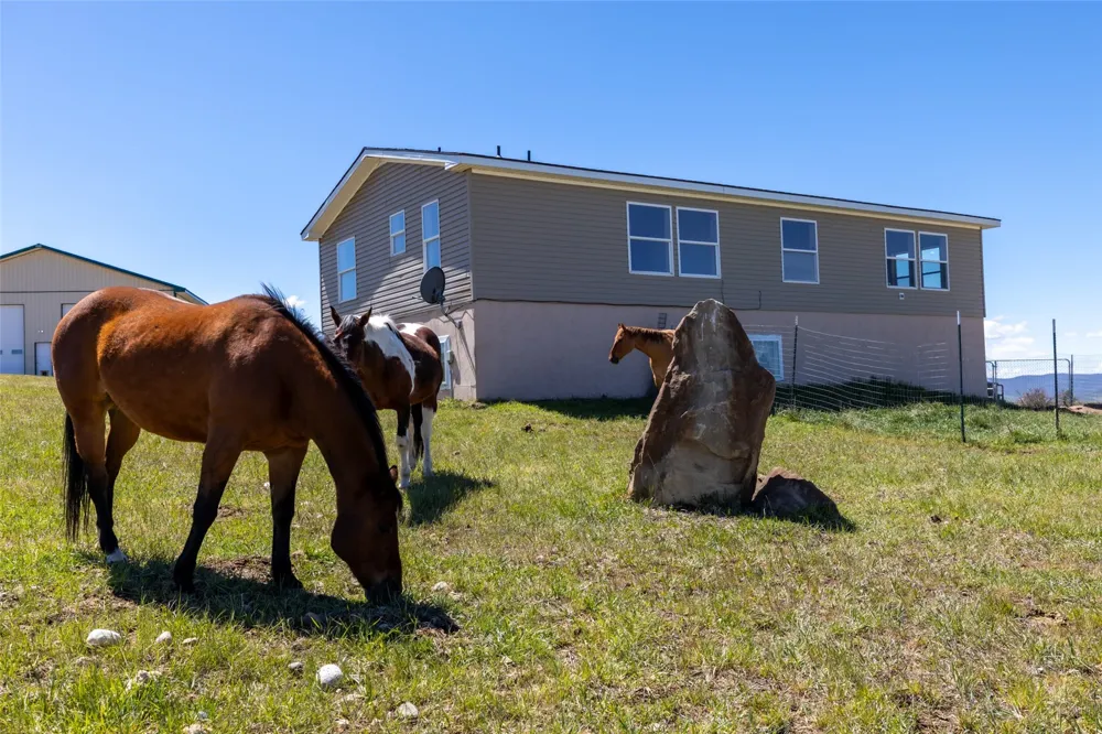 6055 Homesteader Lane Hayden, CO 81639