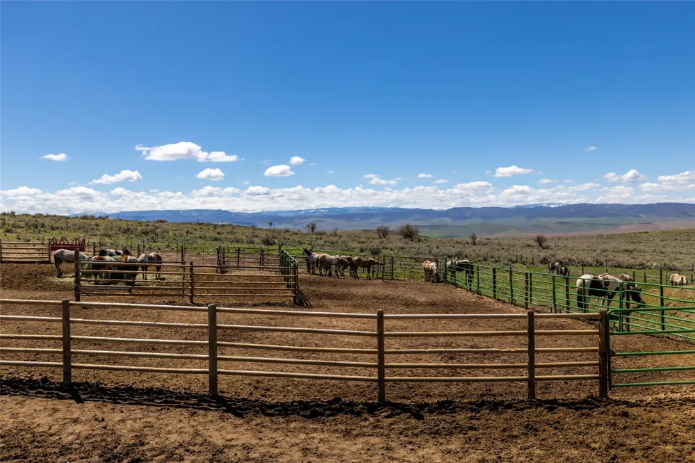 6055 Homesteader Lane Hayden, CO 81639