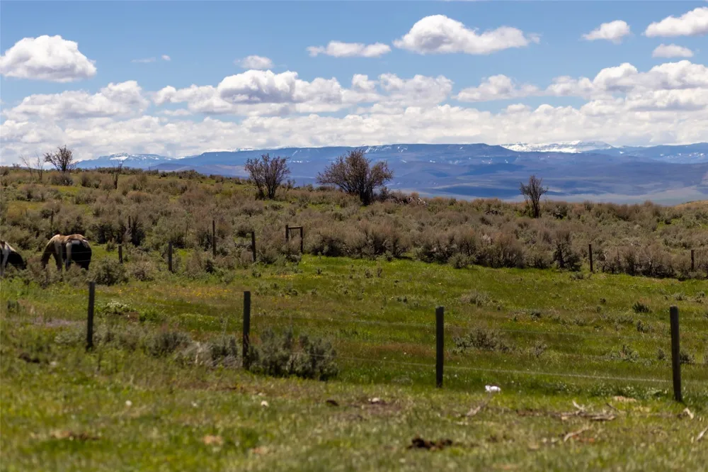 6055 Homesteader Lane Hayden, CO 81639