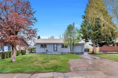 383 Spruce Street