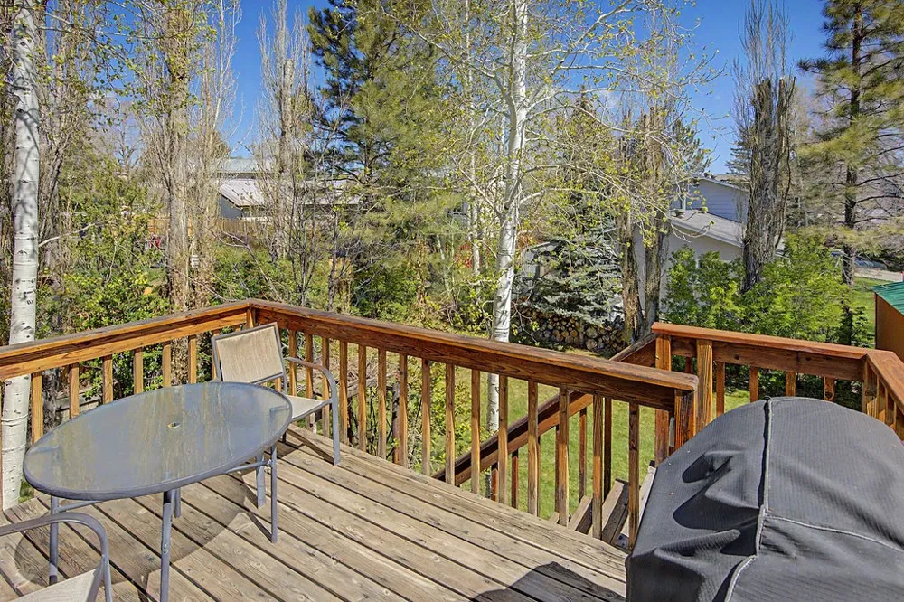 431 Clover Circle Hayden, CO 81639