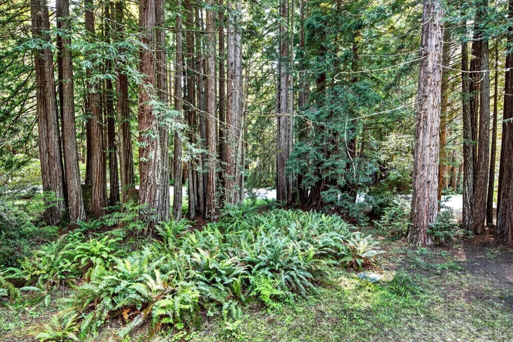 37250 Schooner Drive The Sea Ranch, CA 95497