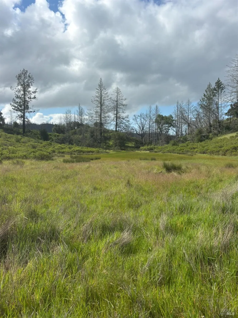 6971 St Helena Road Santa Rosa, CA 95404