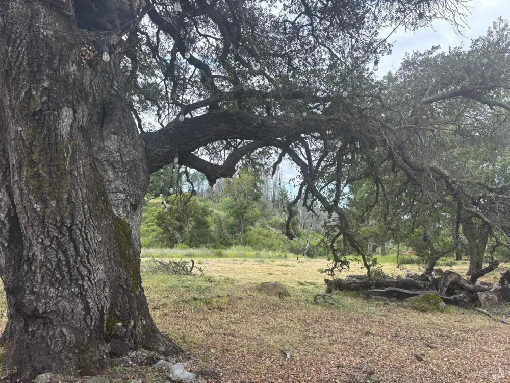 6971 St Helena Road Santa Rosa, CA 95404