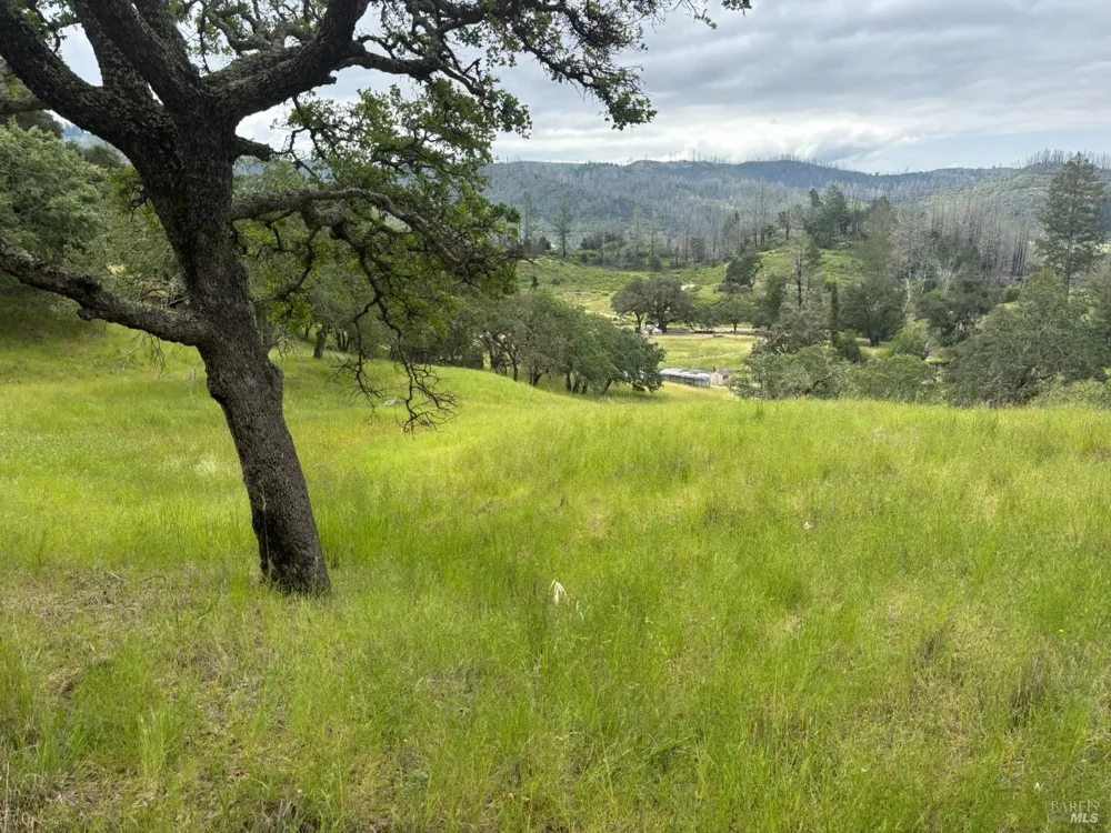 6971 St Helena Road Santa Rosa, CA 95404