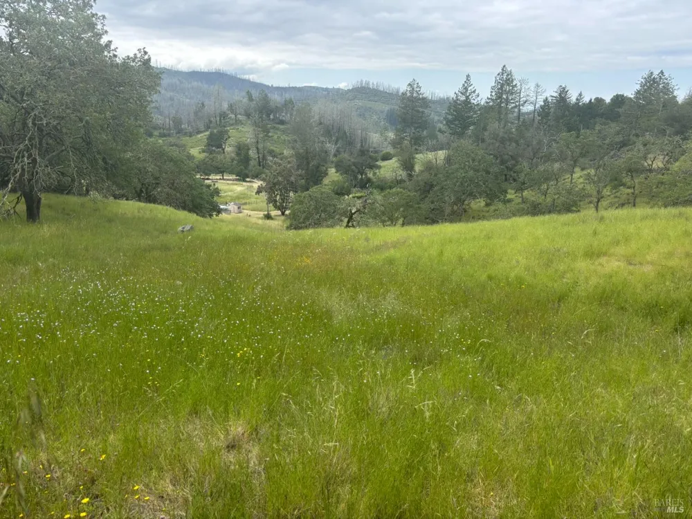6971 St Helena Road Santa Rosa, CA 95404