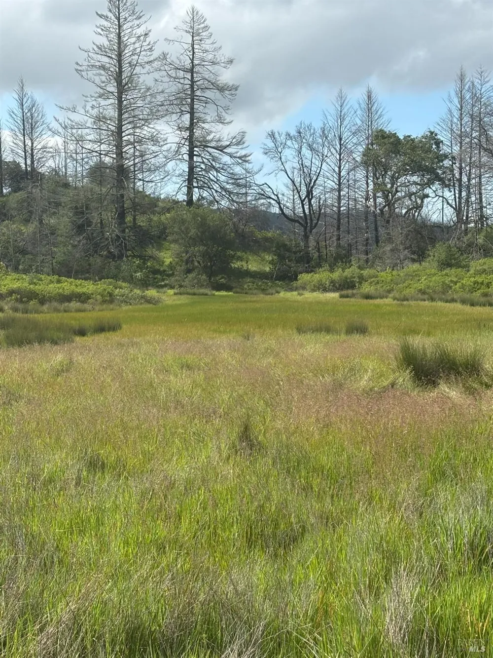 6971 St Helena Road Santa Rosa, CA 95404