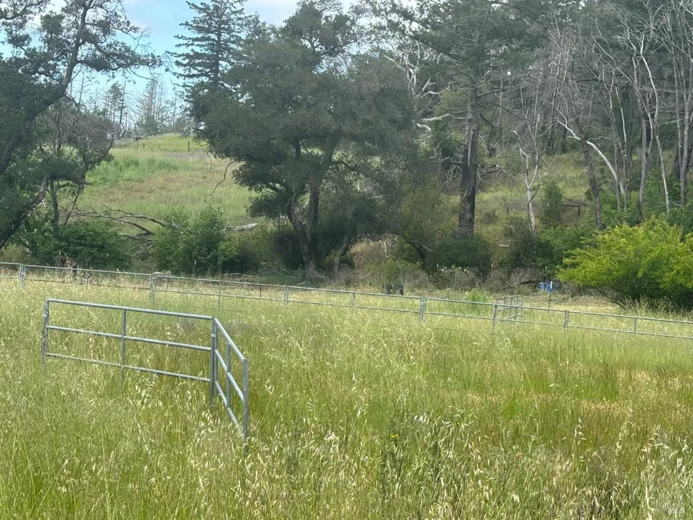 6971 St Helena Road Santa Rosa, CA 95404