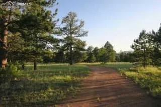 143 Ring Road Guffey, CO 80820
