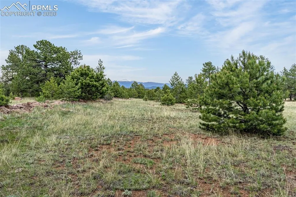 143 Ring Road Guffey, CO 80820