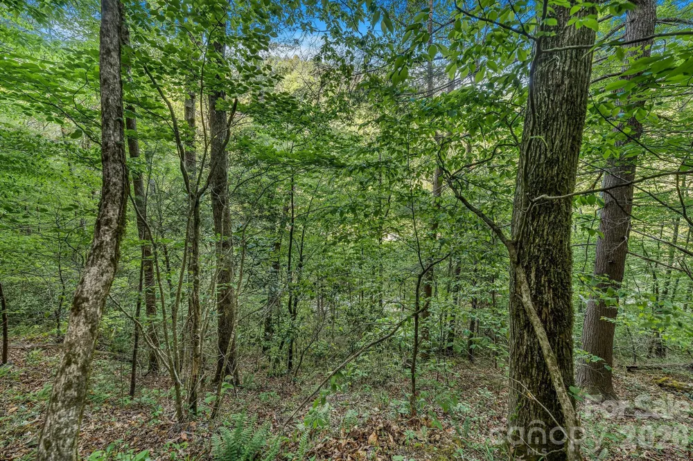 31 Caddis Court Marshall, NC 28753
