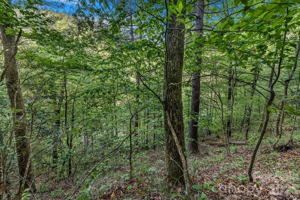 31 Caddis Court Marshall, NC 28753