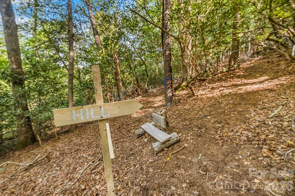 31 Caddis Court Marshall, NC 28753