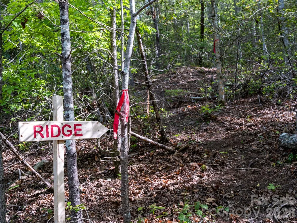 31 Caddis Court Marshall, NC 28753