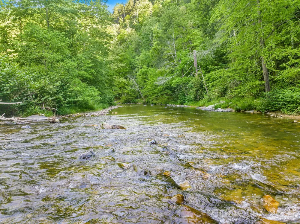 31 Caddis Court Marshall, NC 28753