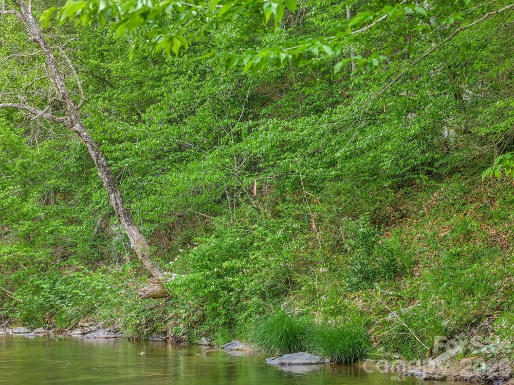 31 Caddis Court Marshall, NC 28753