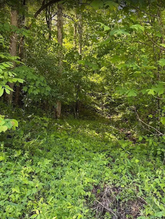 0 Spring Creek Road Cookeville, TN 38501