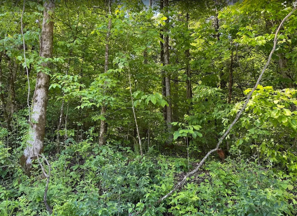 0 Spring Creek Road Cookeville, TN 38501