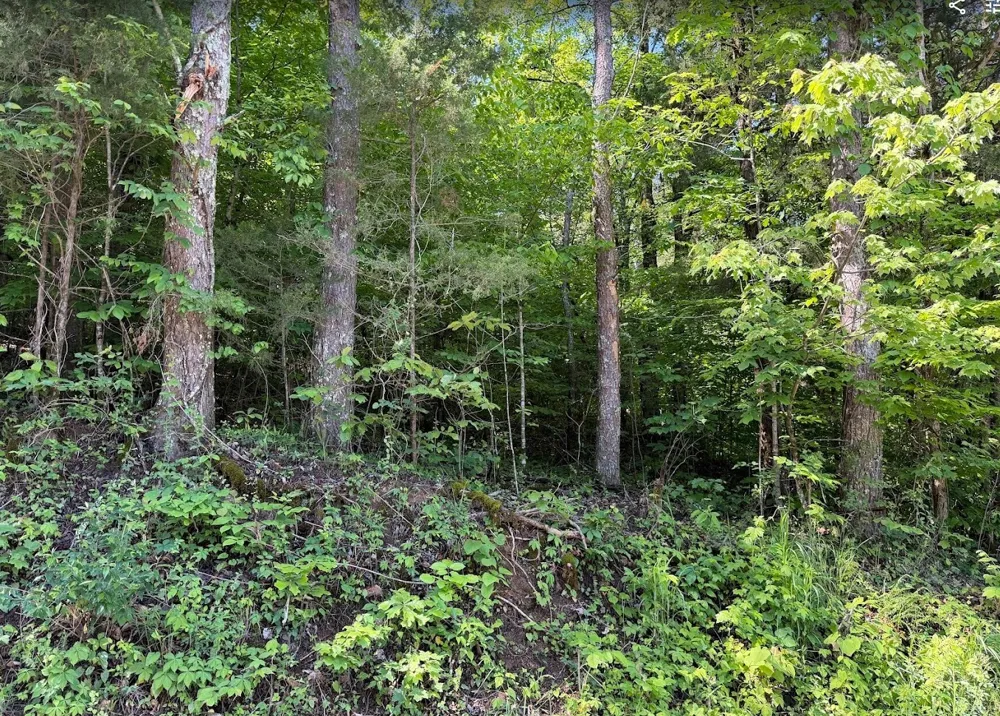 0 Spring Creek Road Cookeville, TN 38501