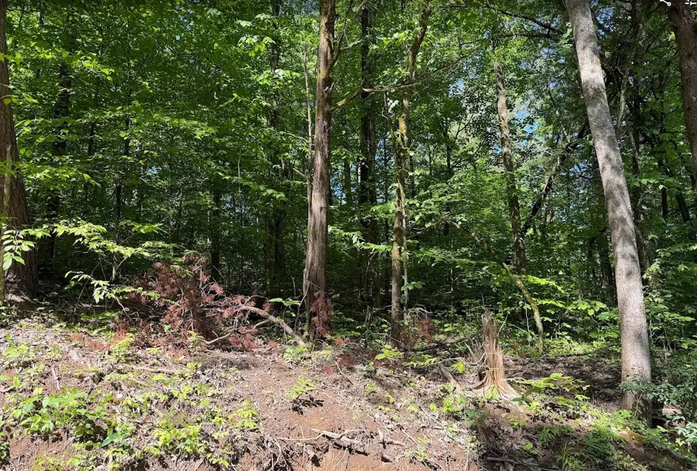 0 Spring Creek Road Cookeville, TN 38501