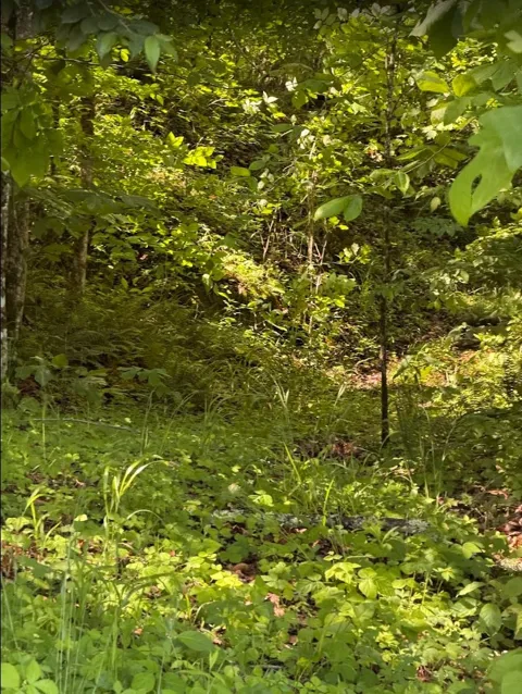 0 Spring Creek Road