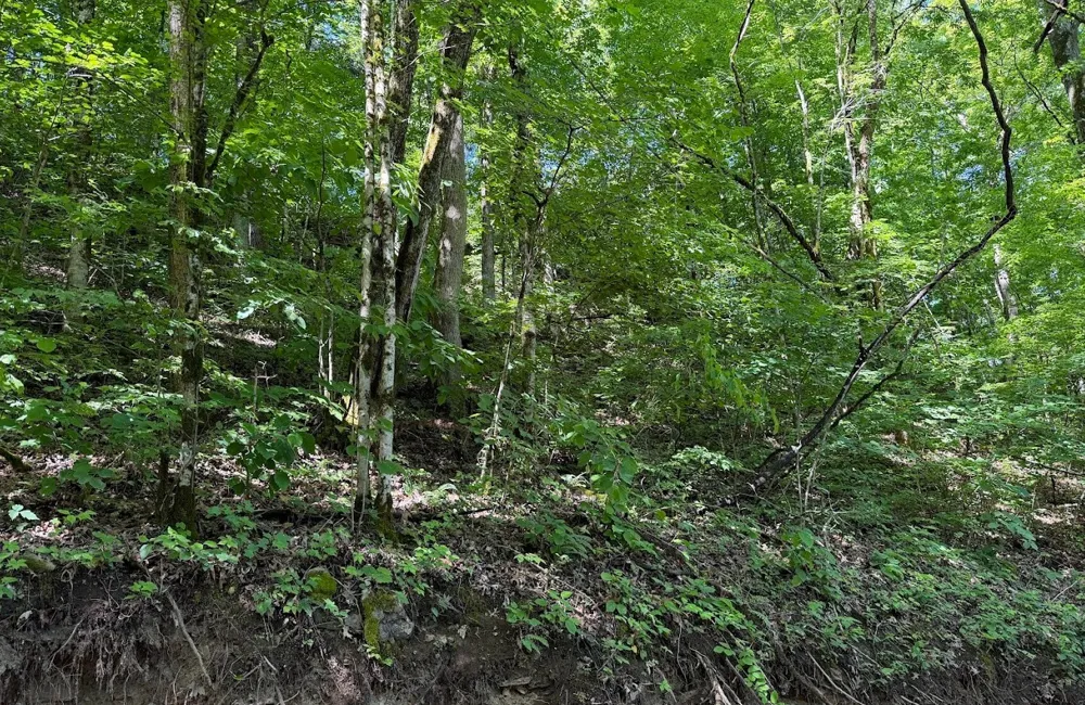0 Spring Creek Road Cookeville, TN 38501