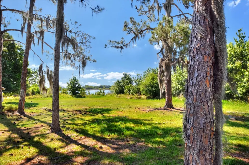 0 LAKE BUFFUM ROAD W Fort Meade, FL 33841