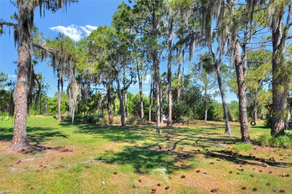 0 LAKE BUFFUM ROAD W Fort Meade, FL 33841