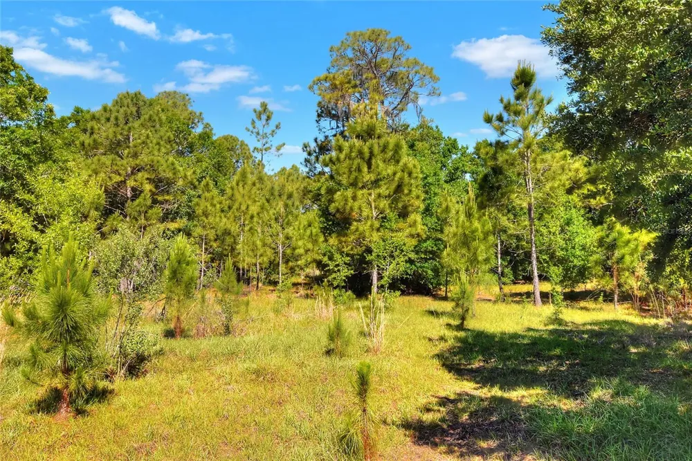 0 LAKE BUFFUM ROAD W Fort Meade, FL 33841