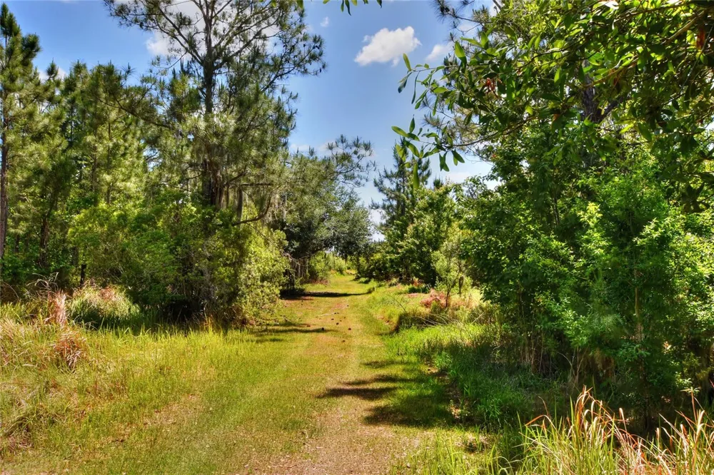0 LAKE BUFFUM ROAD W Fort Meade, FL 33841