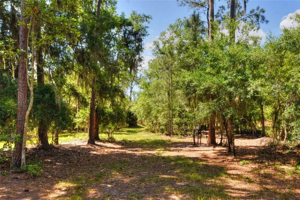 0 LAKE BUFFUM ROAD W Fort Meade, FL 33841