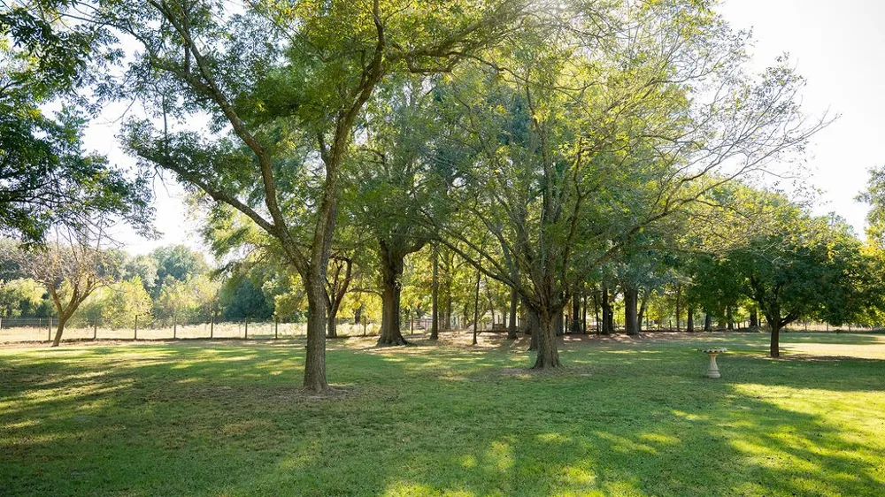 213 County Road 2320 Telephone, TX 75488