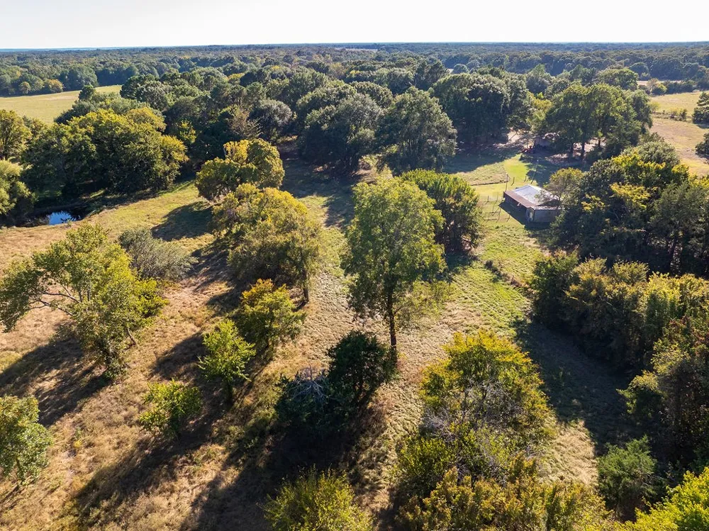213 County Road 2320 Telephone, TX 75488