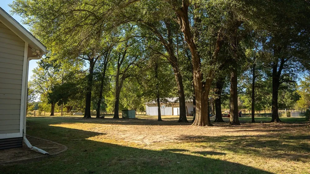213 County Road 2320 Telephone, TX 75488