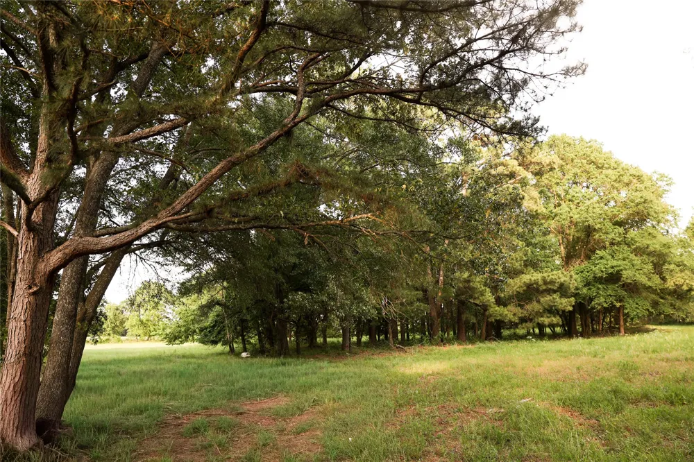 213 County Road 2320 Telephone, TX 75488