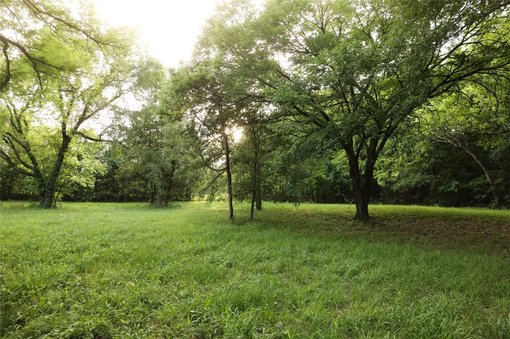 213 County Road 2320 Telephone, TX 75488