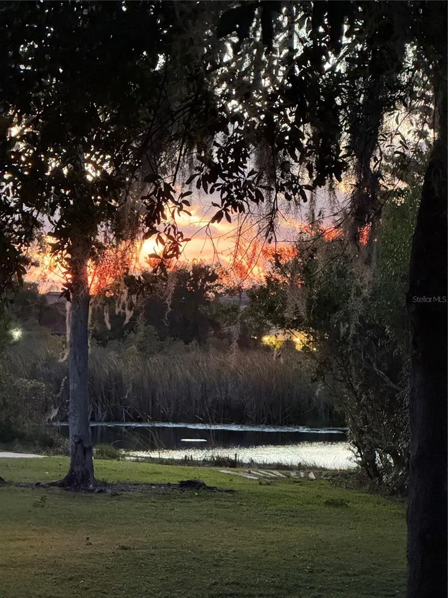 6731 AMANDA VISTA CIRCLE Land O Lakes, FL 34637